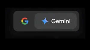 gemini